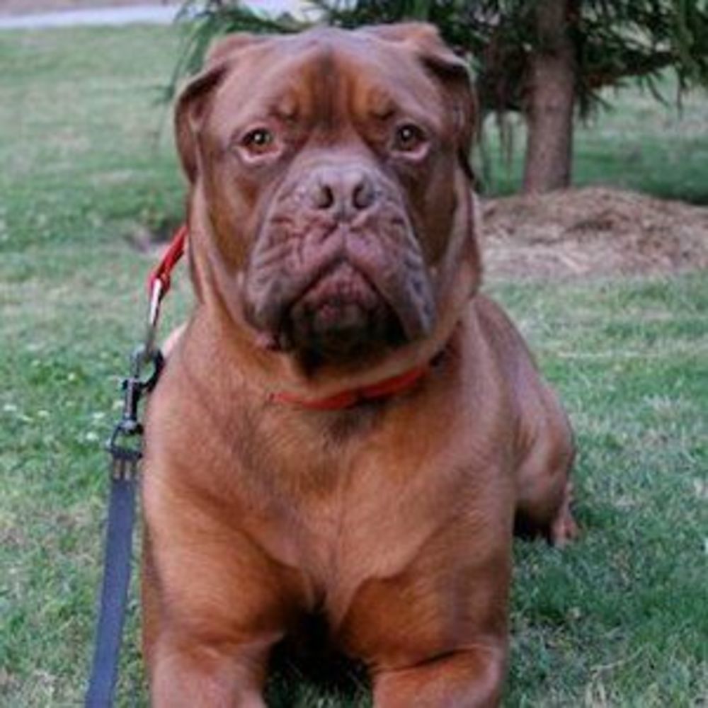 Meet your Posher, Candice